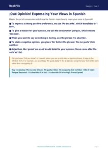 Free Opinion Phrases Poster | Year 5 Greater Depth | BookFlik