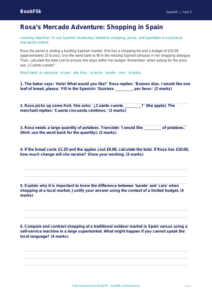 Free Shopping Activity Sheet | Year 5 Greater Depth | BookFlik