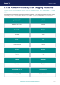 Free Shopping Flashcards | Year 5 Greater Depth | BookFlik