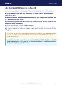 Free Shopping Poster | Year 5 Greater Depth | BookFlik