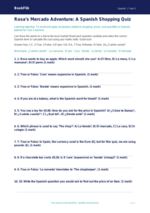 Free Shopping Quiz | Year 5 Greater Depth | BookFlik