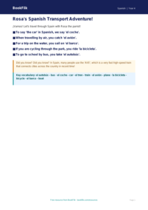 Free Transport Poster | Year 4 Supported | BookFlik