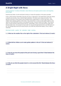 Free Bonfire Night Comprehension | Grade 3 | ELA | BookFlik