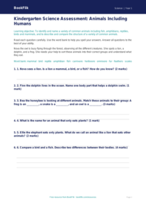 Free Animals Including Humans Assessment | Kindergarten | Science | BookFlik