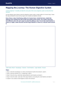 Free Digestion Drawing Sheet | Grade 4 | Science | BookFlik