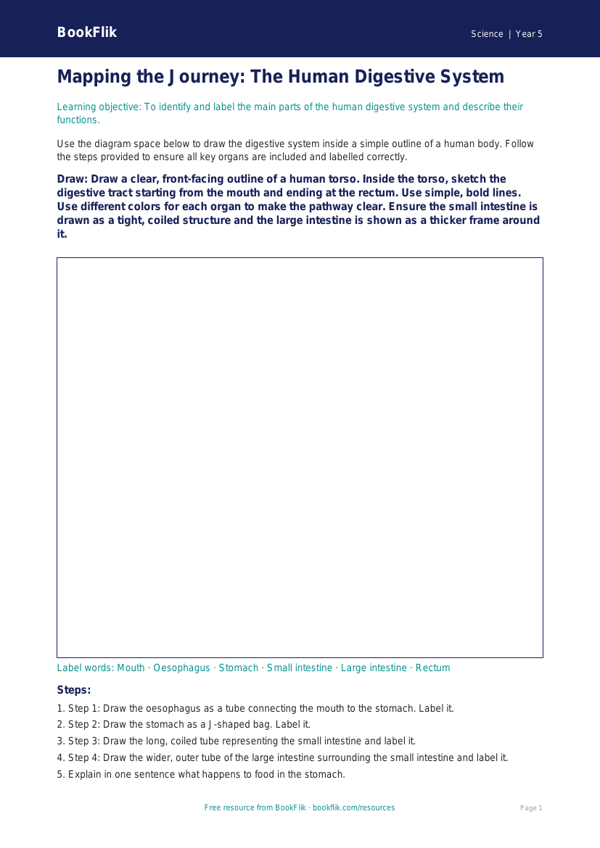 Free Digestion Drawing Sheet | Grade 4 | Science | BookFlik worksheet preview — Science Digestion