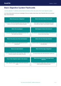 Free Digestion Flashcards | Grade 4 | Science | BookFlik
