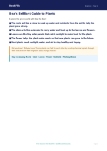 Free Plants Poster | Grade 3 | Science | BookFlik