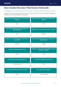 Free Plants Flashcards | Kindergarten Science | BookFlik