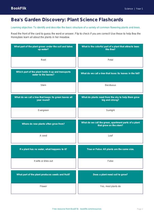 Free Plants Flashcards | Kindergarten Science | BookFlik worksheet preview — Science Plants
