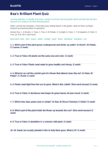 Free Plants Quiz | Kindergarten | Science | BookFlik