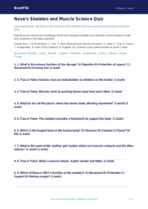 Free Skeleton And Muscles Quiz | Grade 4 | Science | BookFlik
