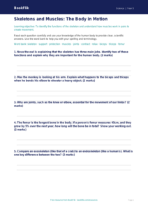 Free Skeleton And Muscles Worksheet | Grade 4 | Science | BookFlik