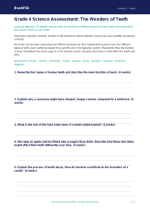 Teeth Assessment Grade 4 Free | Science Worksheet | BookFlik