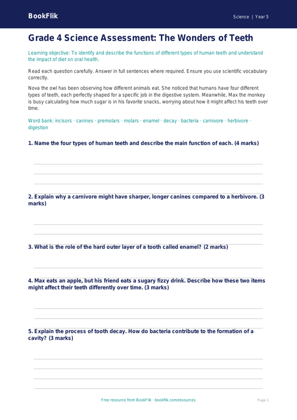 Teeth Assessment Grade 4 Free | Science Worksheet | BookFlik worksheet preview — Science Teeth