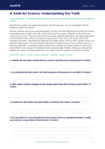 Free Teeth Comprehension | Grade 4 | Science | BookFlik