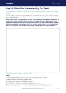 Free Teeth Drawing Sheet | Grade 4 | Science | BookFlik