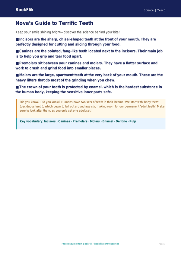 Free Teeth Poster | Grade 4 | Science | BookFlik worksheet preview — Science Teeth