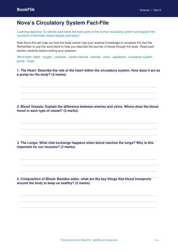 Free Circulatory System Template | Year 6 | Science | BookFlik