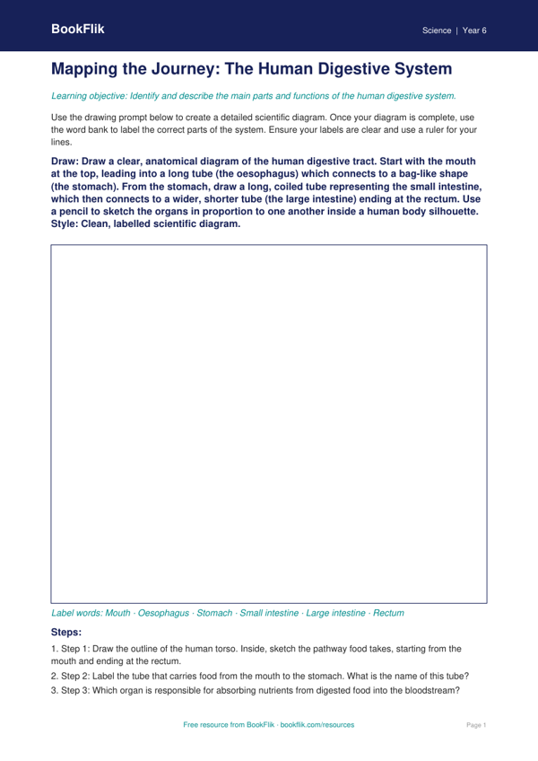 Free Digestion Drawing Sheet | Year 6 | Science | BookFlik worksheet preview — Science Digestion