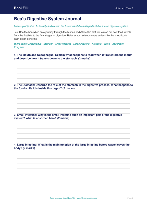 Free Digestion Template | Year 6 | Science | BookFlik worksheet preview — Science Digestion