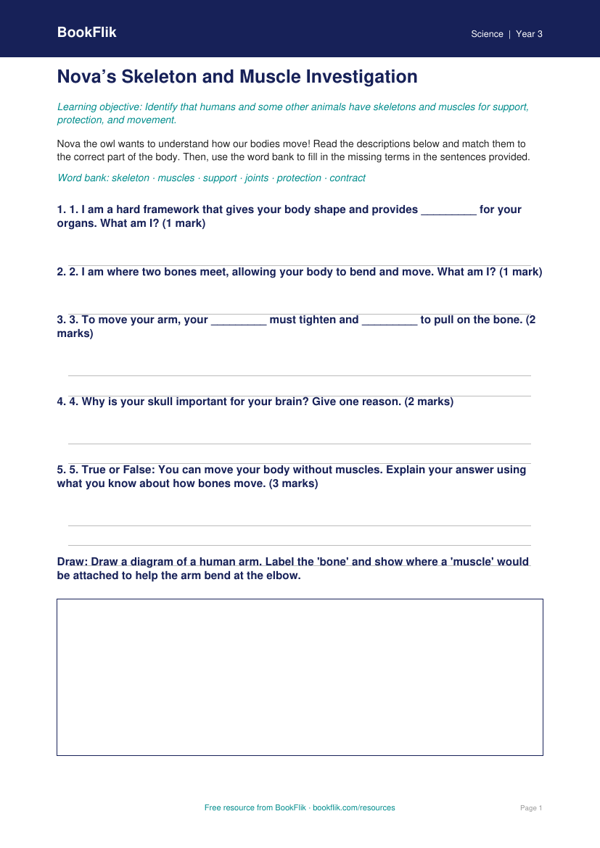 Free Skeleton And Muscles Activity Sheet | Year 3 | Science | BookFlik worksheet preview — Science Skeleton And Muscles