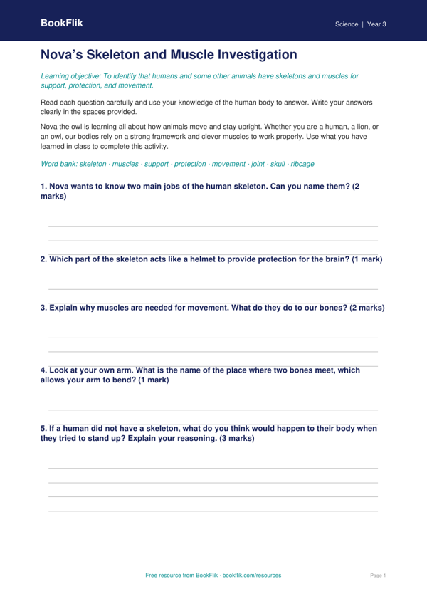 Free Skeleton And Muscles Worksheet | Year 3 | Science | BookFlik worksheet preview — Science Skeleton And Muscles