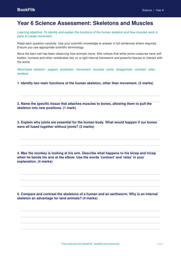 Free Skeleton and Muscles Assessment | Year 6 Science | BookFlik