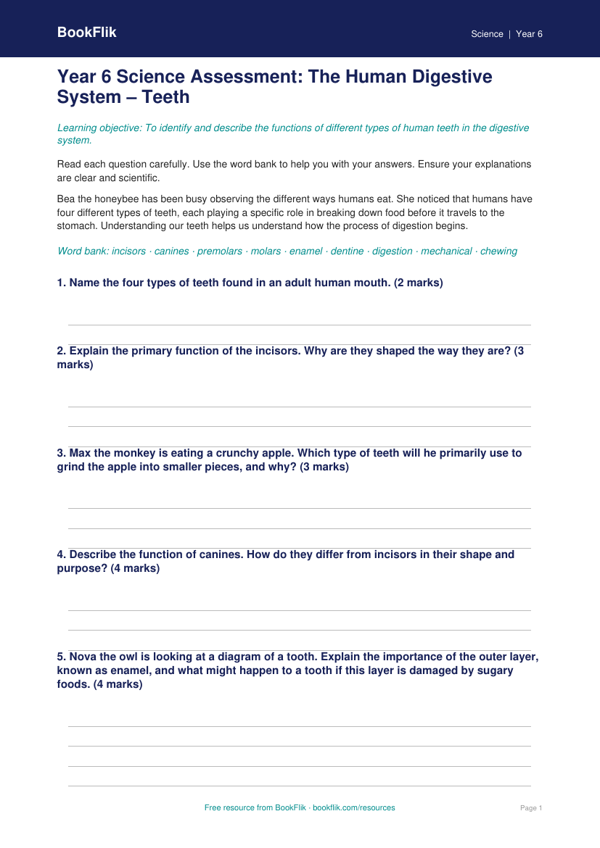 Teeth Assessment Year 6 | Science Resources | BookFlik worksheet preview — Science Teeth