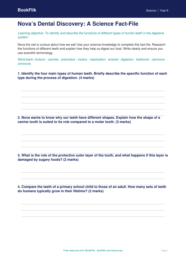 Teeth Template Year 6 Science Activity | Australian Curriculum