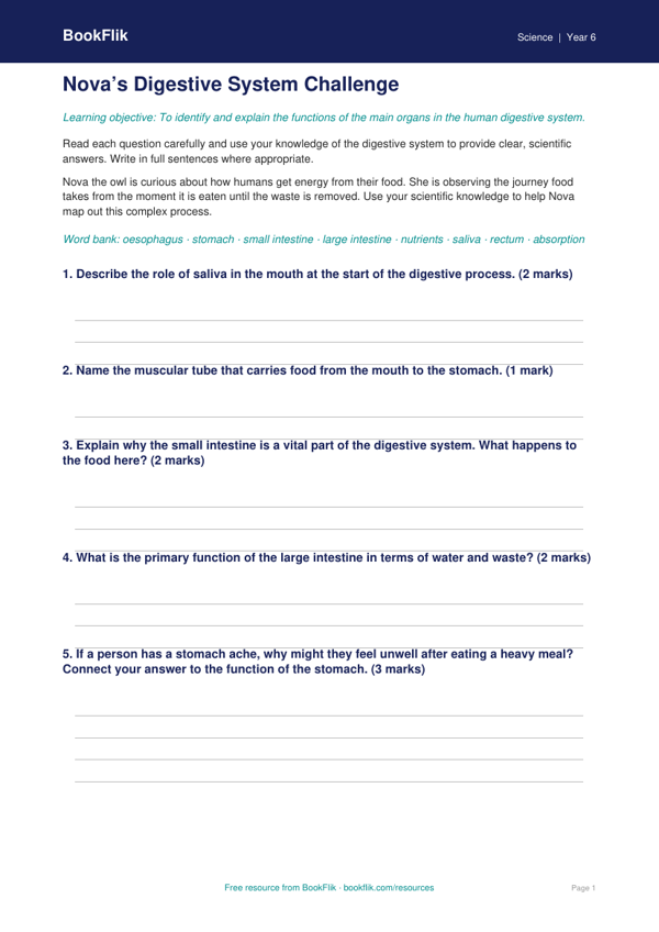 Free Digestion Worksheet | Class 6 | Science | BookFlik worksheet preview — Science Digestion