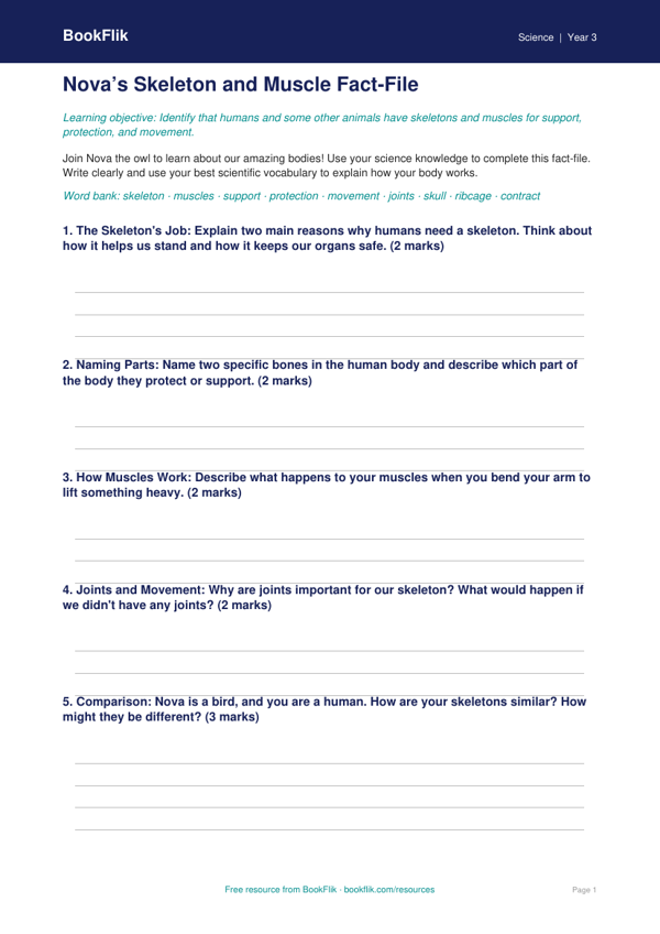 Free Skeleton And Muscles Template | Class 3 | Science | BookFlik worksheet preview — Science Skeleton And Muscles