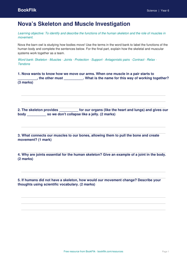Free Skeleton And Muscles Activity Sheet | Class 6 | Science | BookFlik