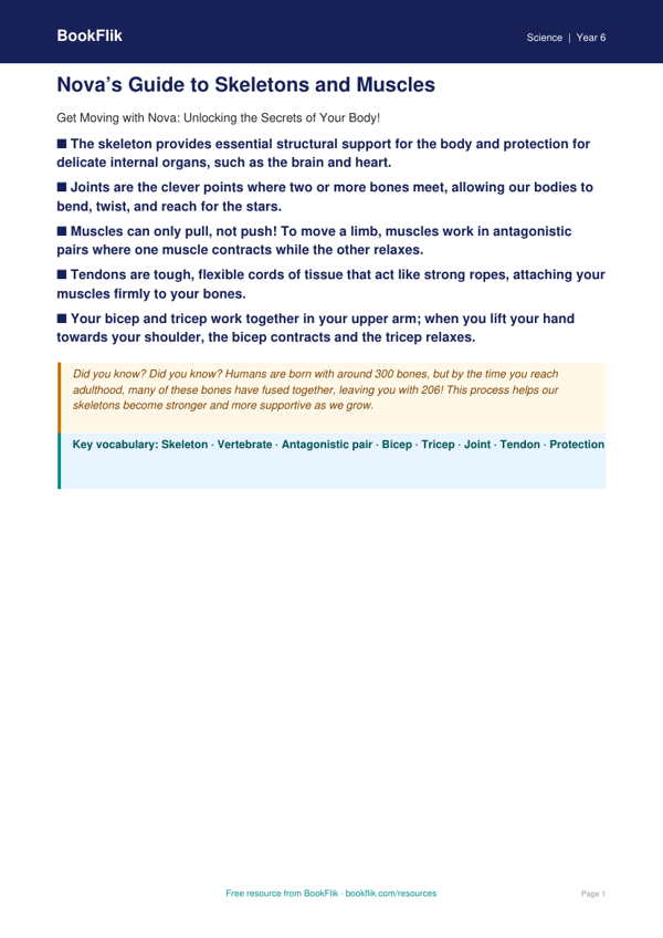 Free Skeleton And Muscles Poster | Class 6 | Science | BookFlik