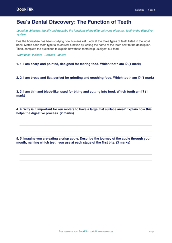 Free Teeth Activity Sheet | Class 6 | Science | BookFlik