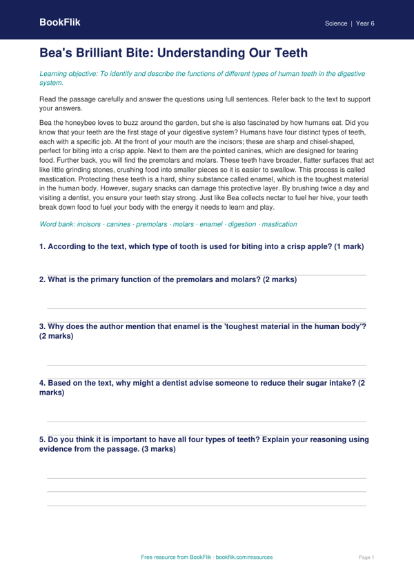 Free Teeth Comprehension | Class 6 | Science | BookFlik worksheet preview — Science Teeth