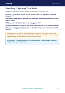 Free Diary Writing Poster | Year 6 Core | BookFlik