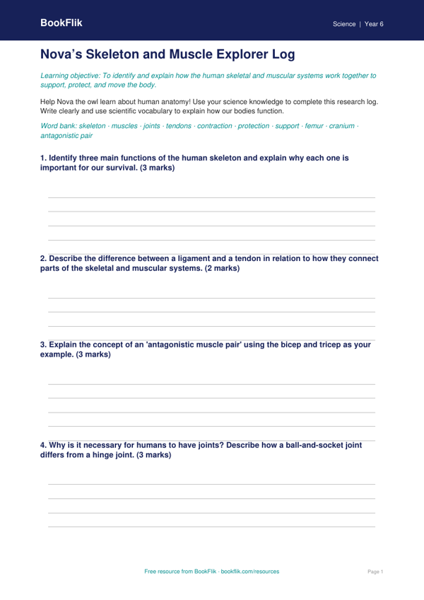 N Skeleton Free Skeleton And Muscles Template | Year 6 Core | BookFlik | Free ...