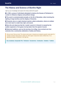 Bonfire Night History Lesson & Poster Activity | Grade 5 | BookFlik