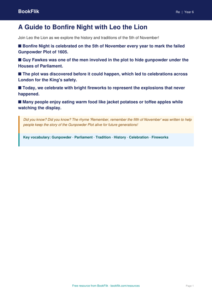 Free Bonfire Night Poster Activity | Grade 5 | Social Studies | BookFlik