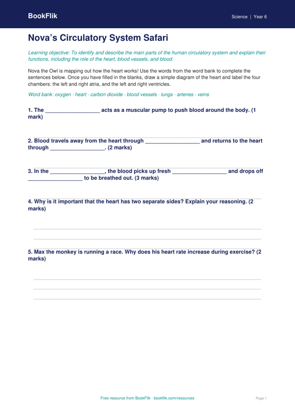 Free Circulatory System Activity Sheet | Grade 5 | Science | BookFlik
