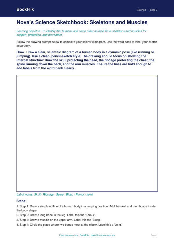Free Skeleton And Muscles Drawing Sheet | Grade 2 | Science | BookFlik worksheet preview — Science Skeleton And Muscles