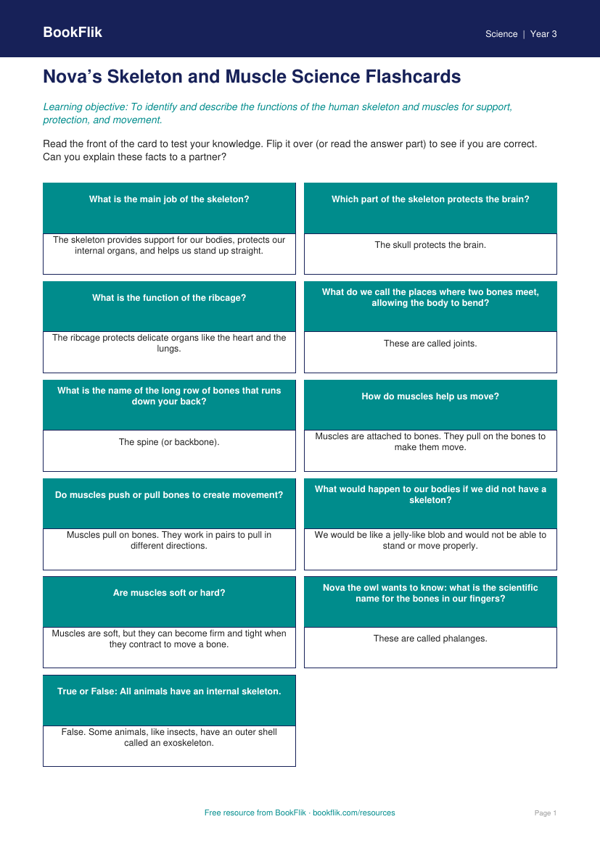 Free Skeleton And Muscles Flashcards | Grade 2 | Science | BookFlik worksheet preview — Science Skeleton And Muscles