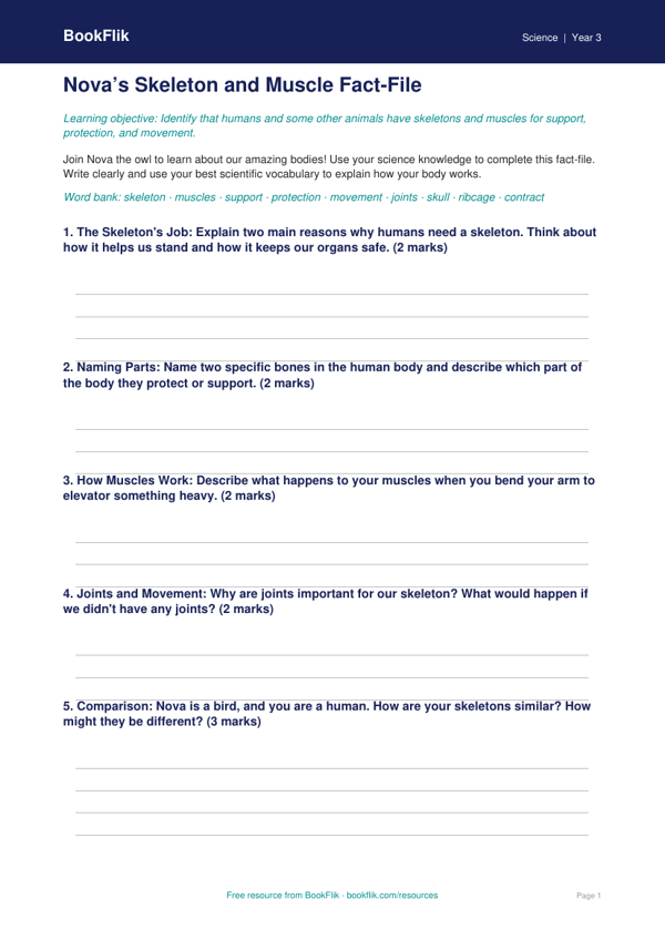 Free Skeleton And Muscles Template | Grade 2 | Science | BookFlik worksheet preview — Science Skeleton And Muscles