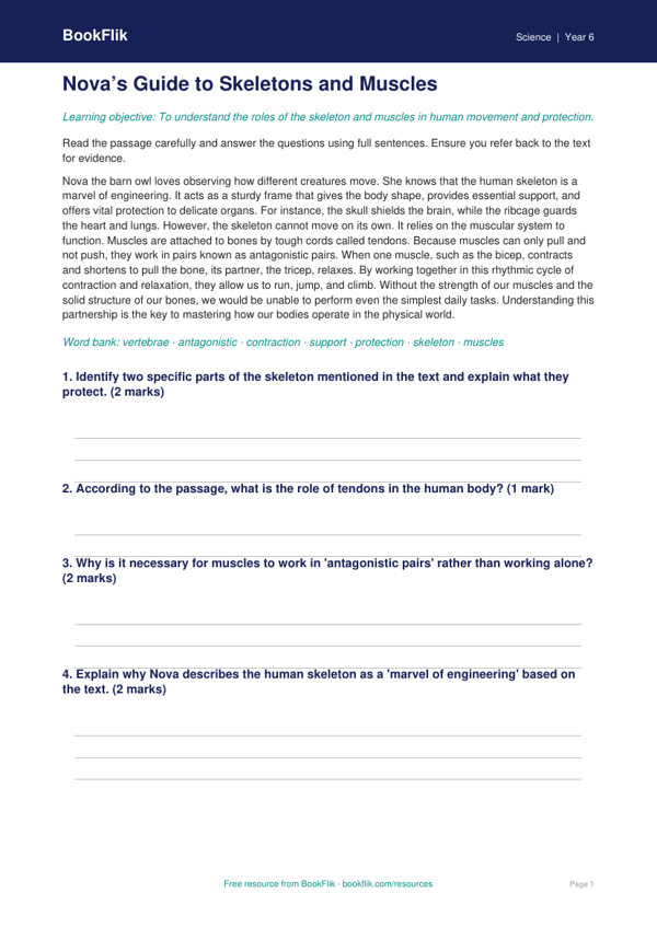 Free Skeleton And Muscles Comprehension | Grade 5 | Science | BookFlik