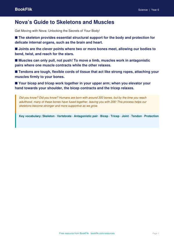 Free Skeleton And Muscles Poster | Grade 5 | Science | BookFlik