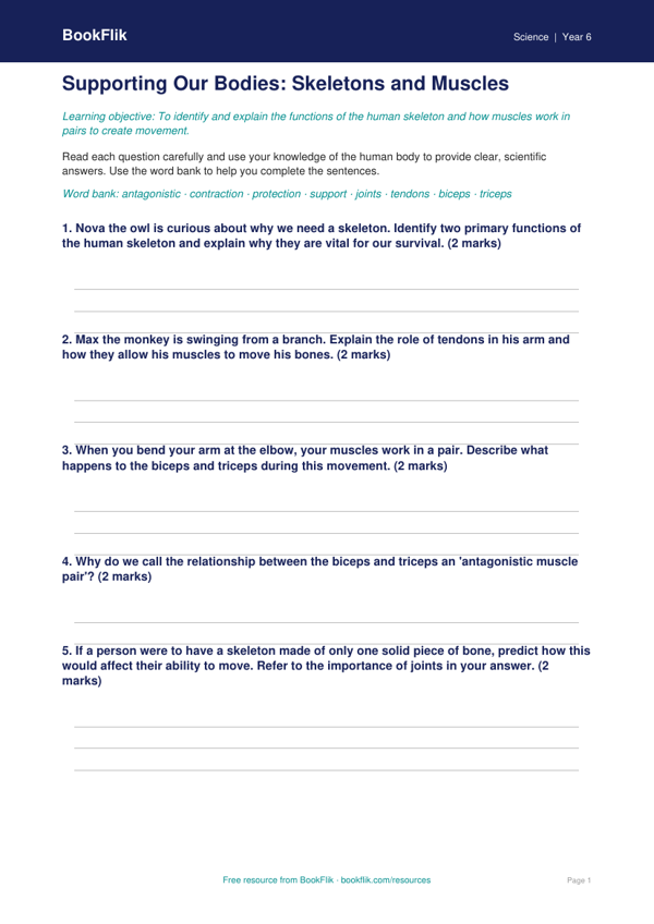 Free Skeleton And Muscles Worksheet | Grade 5 | Science | BookFlik