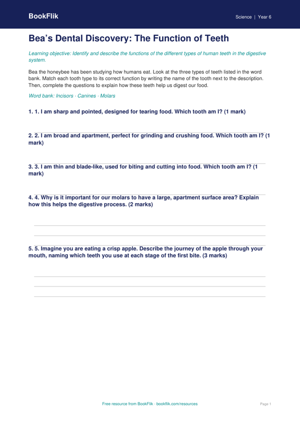 Free Teeth Activity Sheet | Grade 5 | Science | BookFlik