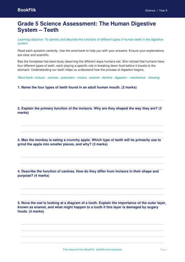Free Teeth Assessment | Grade 5 | Science | BookFlik worksheet preview — Science Teeth