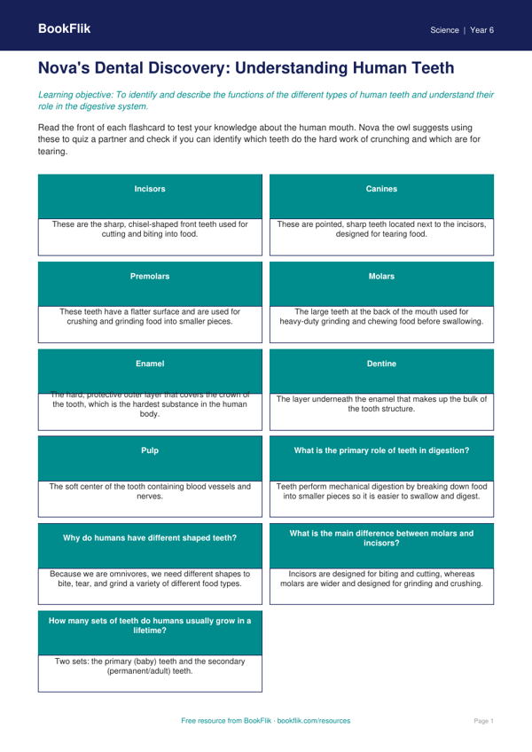Free Teeth Flashcards | Grade 5 | Science | BookFlik worksheet preview — Science Teeth